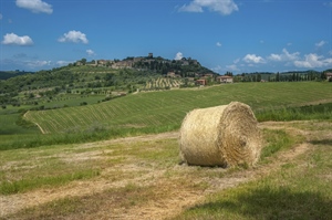 AGRICOLTURA SOCIALE SETTORE IN CRESCITA, CON 4.000 PERSONE OCCUPATE